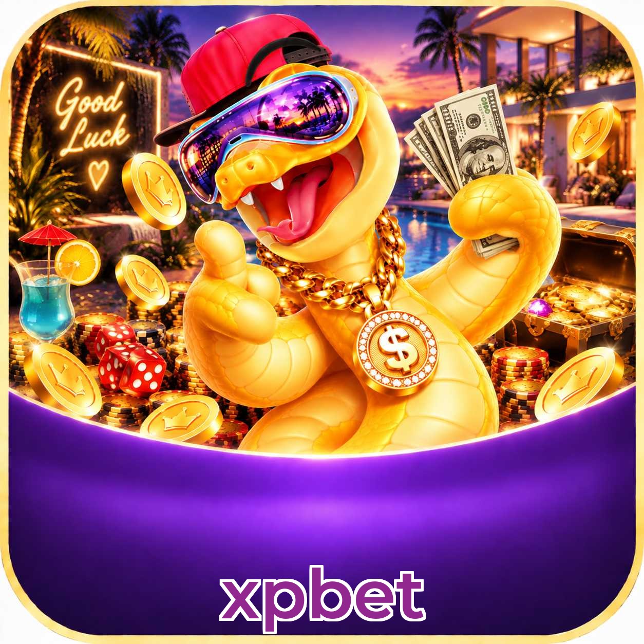 xpbet Recuperar Senha